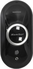 Mamibot iGLASSBOT W110-T